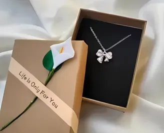 Premium Silver Plated Bow Pendant Chain with American Diamond for Girls & Women_SKU-546124952